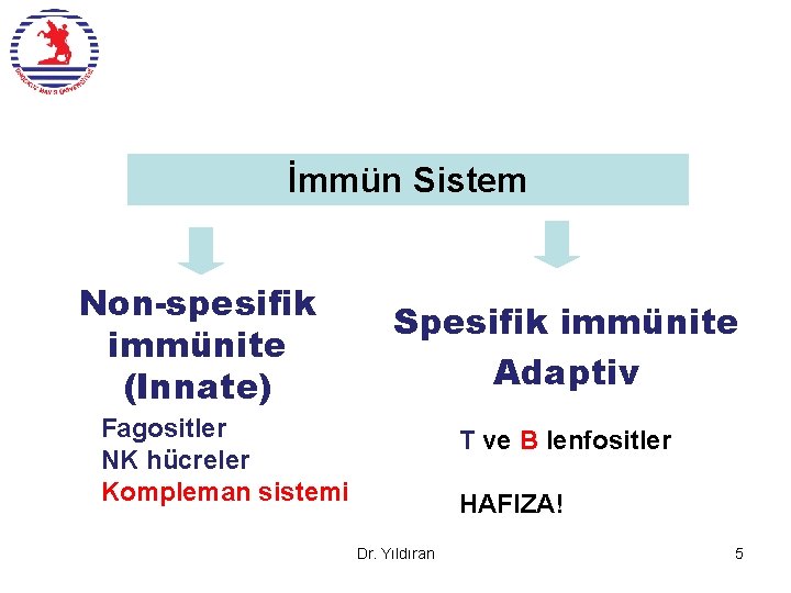 İmmün Sistem Non-spesifik immünite (Innate) Spesifik immünite Adaptiv Fagositler NK hücreler Kompleman sistemi T