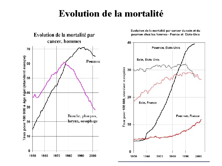Evolution de la mortalité 