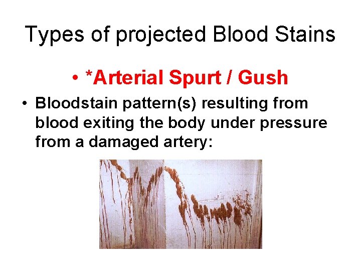 Types of projected Blood Stains • *Arterial Spurt / Gush • Bloodstain pattern(s) resulting