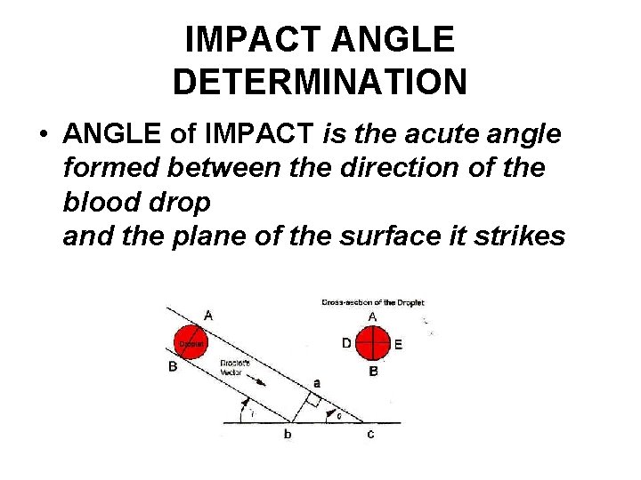 IMPACT ANGLE DETERMINATION • ANGLE of IMPACT is the acute angle formed between the