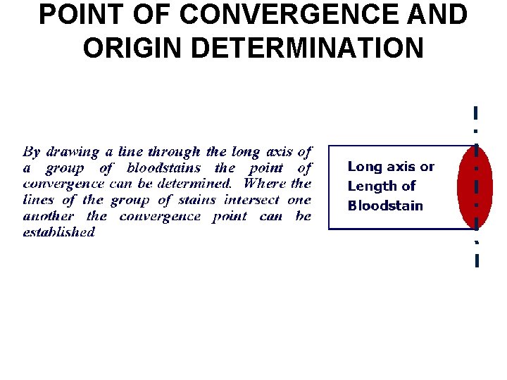 POINT OF CONVERGENCE AND ORIGIN DETERMINATION 