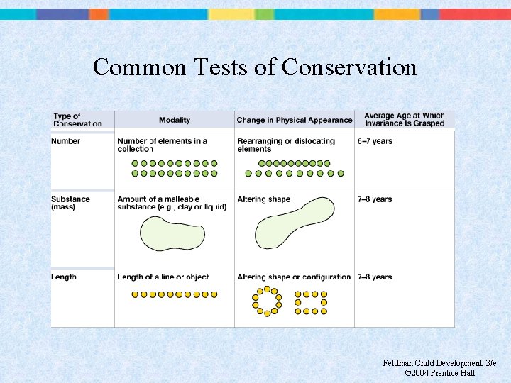 Common Tests of Conservation Feldman Child Development, 3/e © 2004 Prentice Hall 