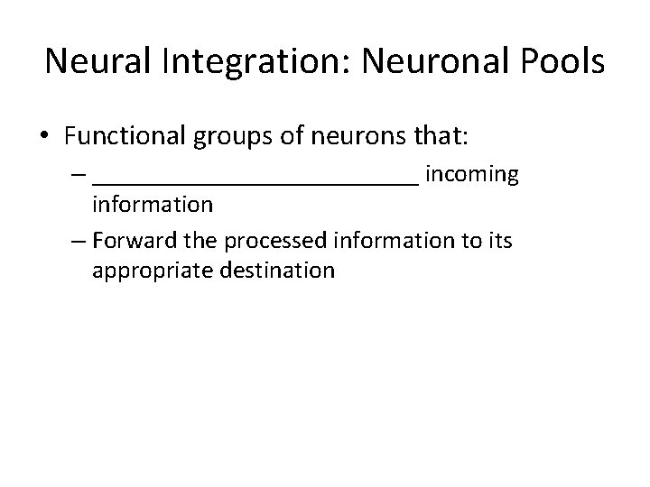 Neural Integration: Neuronal Pools • Functional groups of neurons that: – _____________ incoming information Neural Integration: Neuronal Pools • Functional groups of neurons that: – _____________ incoming information