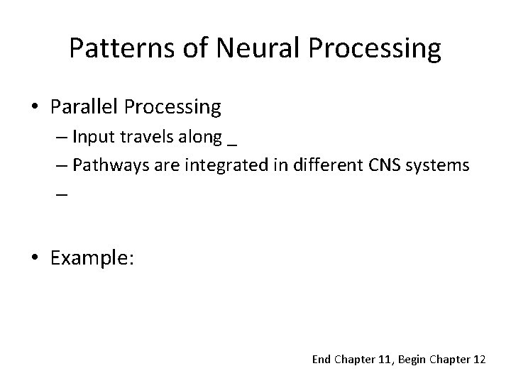 Patterns of Neural Processing • Parallel Processing – Input travels along _ – Pathways Patterns of Neural Processing • Parallel Processing – Input travels along _ – Pathways