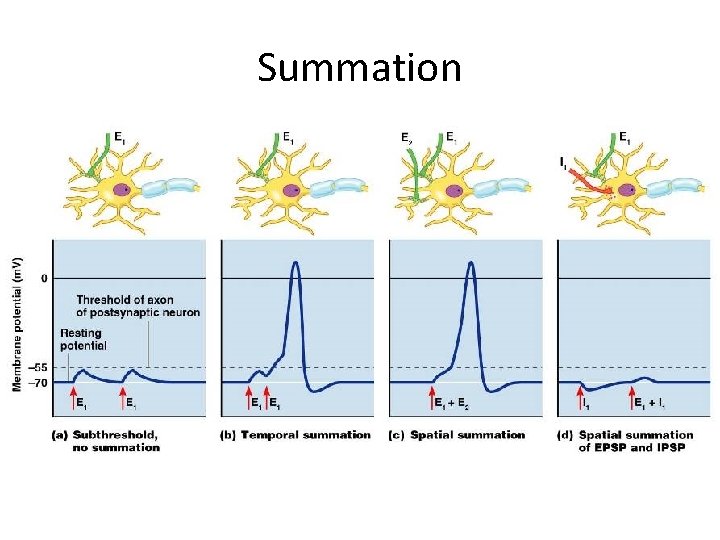 Summation Summation