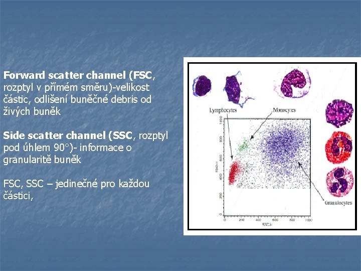 Forward scatter channel (FSC, rozptyl v přímém směru)-velikost částic, odlišení buněčné debris od živých