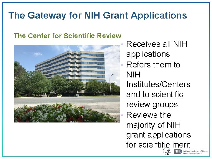 The Gateway for NIH Grant Applications The Center for Scientific Review • Receives all