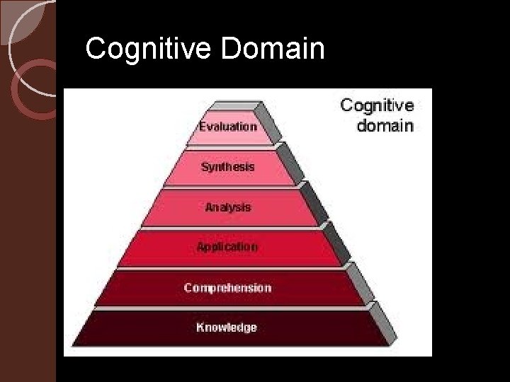 Cognitive Domain 