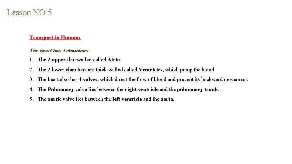 Lesson NO 5 Transport in Humans The heart has 4 chambers 1. The 2