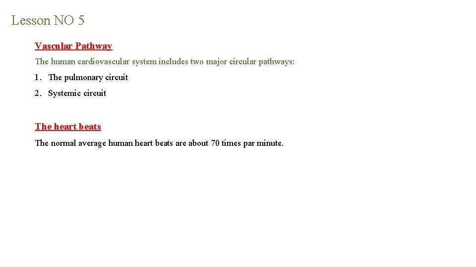 Lesson NO 5 Vascular Pathway The human cardiovascular system includes two major circular pathways: