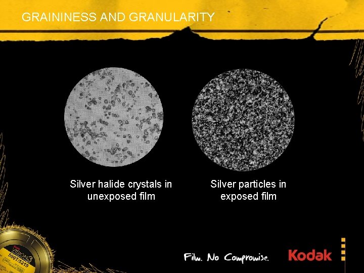 GRAININESS AND GRANULARITY Silver halide crystals in unexposed film Silver particles in exposed film