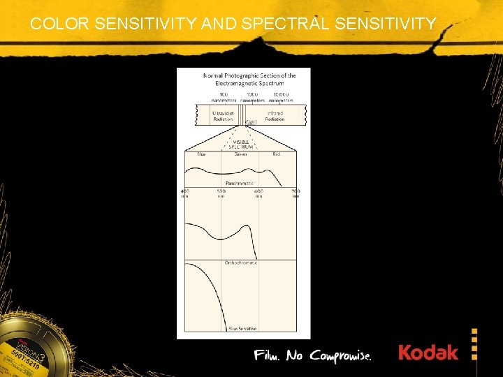 COLOR SENSITIVITY AND SPECTRAL SENSITIVITY 