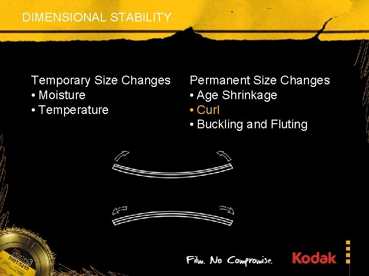 DIMENSIONAL STABILITY Temporary Size Changes • Moisture • Temperature Permanent Size Changes • Age