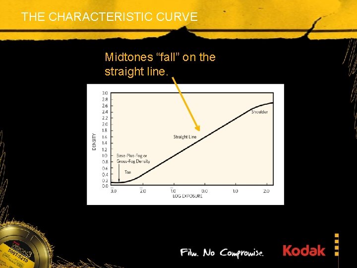 THE CHARACTERISTIC CURVE Midtones “fall” on the straight line. 