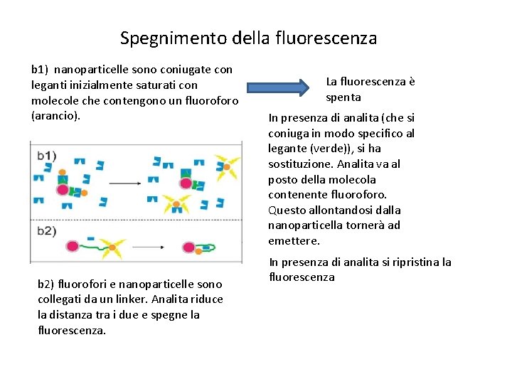 Spegnimento della fluorescenza b 1) nanoparticelle sono coniugate con leganti inizialmente saturati con molecole