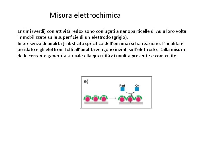 Misura elettrochimica Enzimi (verdi) con attività redox sono coniugati a nanoparticelle di Au a