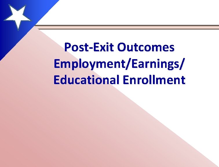 Post-Exit Outcomes Employment/Earnings/ Educational Enrollment 