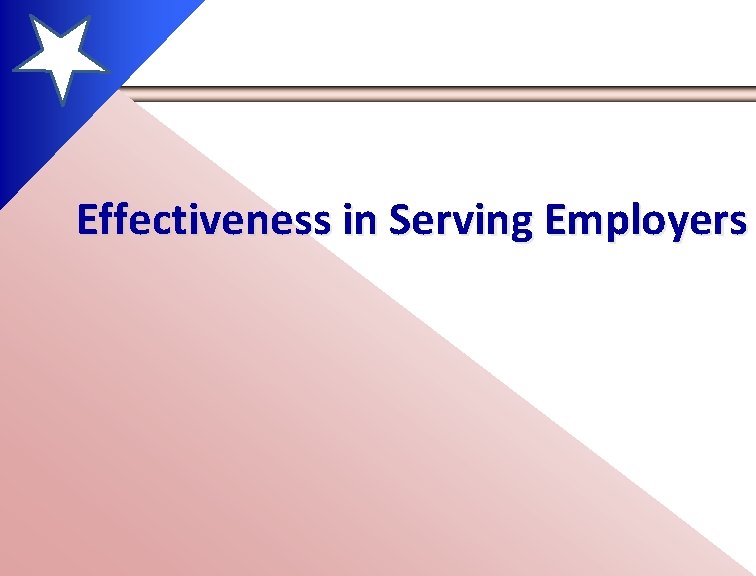 Effectiveness in Serving Employers 