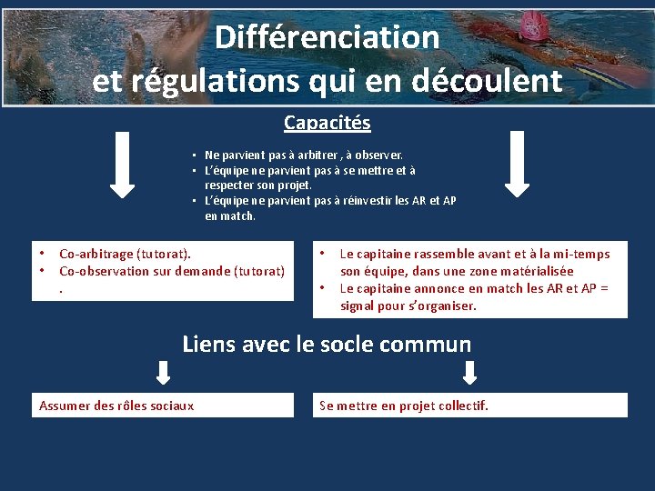 Différenciation et régulations qui en découlent Capacités • Ne parvient pas à arbitrer ,