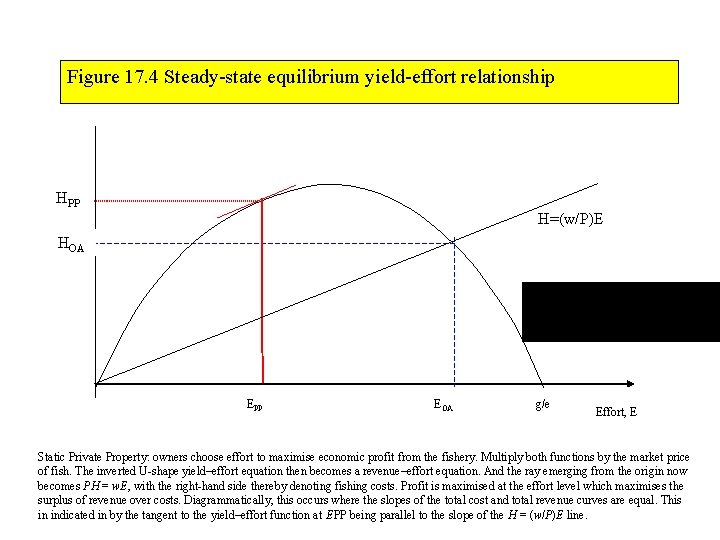 Figure 17. 4 Steady-state equilibrium yield-effort relationship HPP H=(w/P)E HOA EPP EOA g/e Effort,