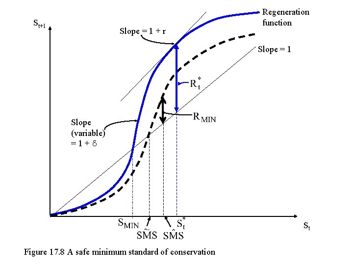 St+1 Slope = 1 + r Regeneration function . Slope = 1 . Slope