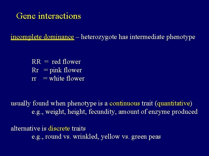 Gene interactions incomplete dominance – heterozygote has intermediate phenotype RR = red flower Rr