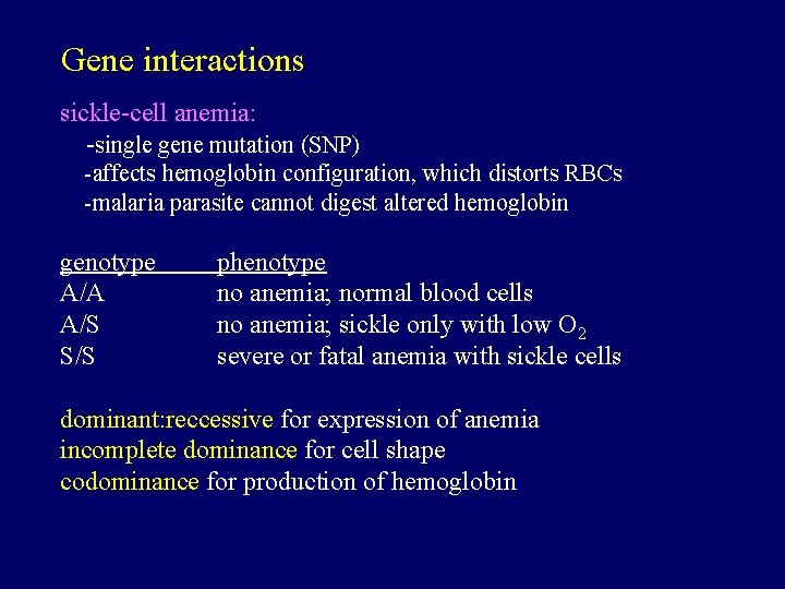 Gene interactions sickle-cell anemia: -single gene mutation (SNP) -affects hemoglobin configuration, which distorts RBCs