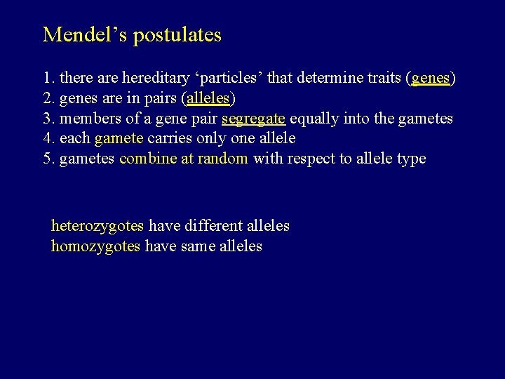 Mendel’s postulates 1. there are hereditary ‘particles’ that determine traits (genes) 2. genes are