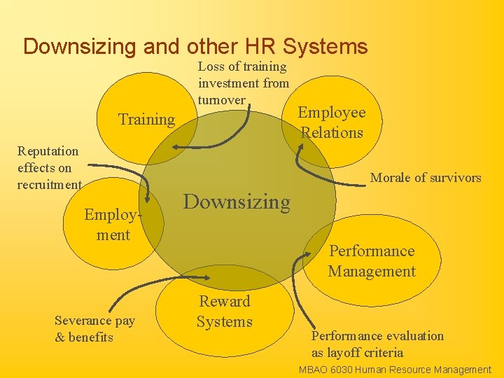 Downsizing and other HR Systems Loss of training investment from turnover Training Reputation effects