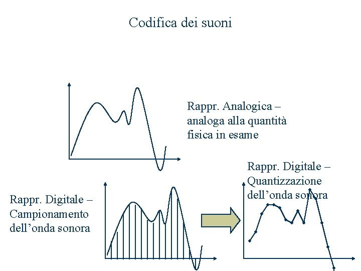 Codifica dei suoni Rappr. Analogica – analoga alla quantità fisica in esame Rappr. Digitale Codifica dei suoni Rappr. Analogica – analoga alla quantità fisica in esame Rappr. Digitale