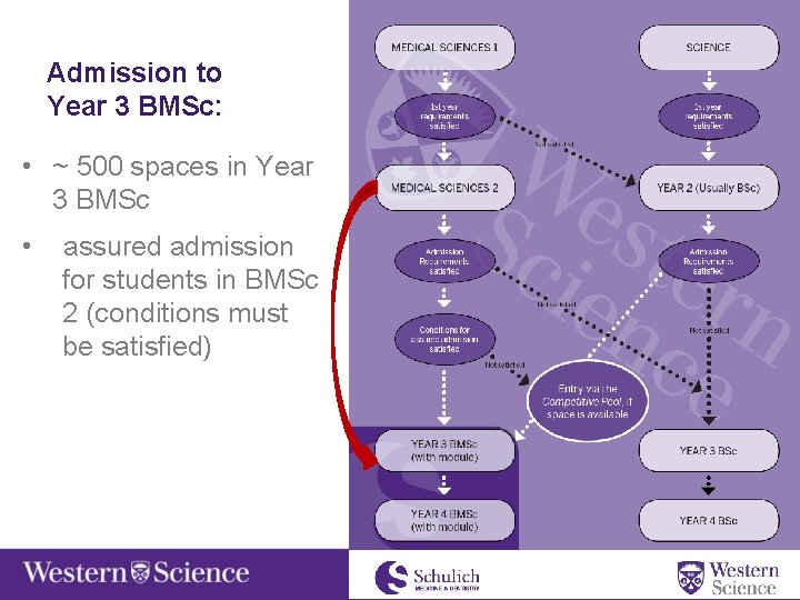 Admission to Year 3 BMSc: • ~ 500 spaces in Year 3 BMSc •