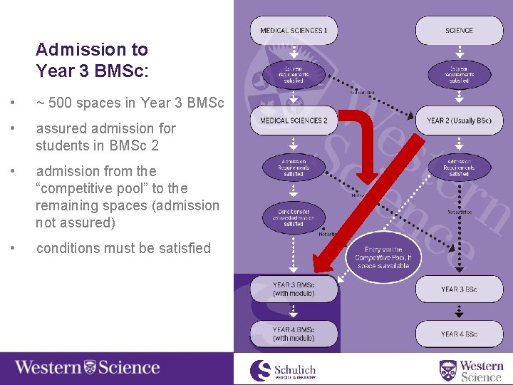 Admission to Year 3 BMSc: • ~ 500 spaces in Year 3 BMSc •