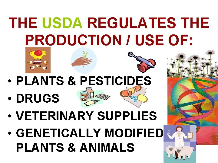 THE USDA REGULATES THE PRODUCTION / USE OF: • • PLANTS & PESTICIDES DRUGS