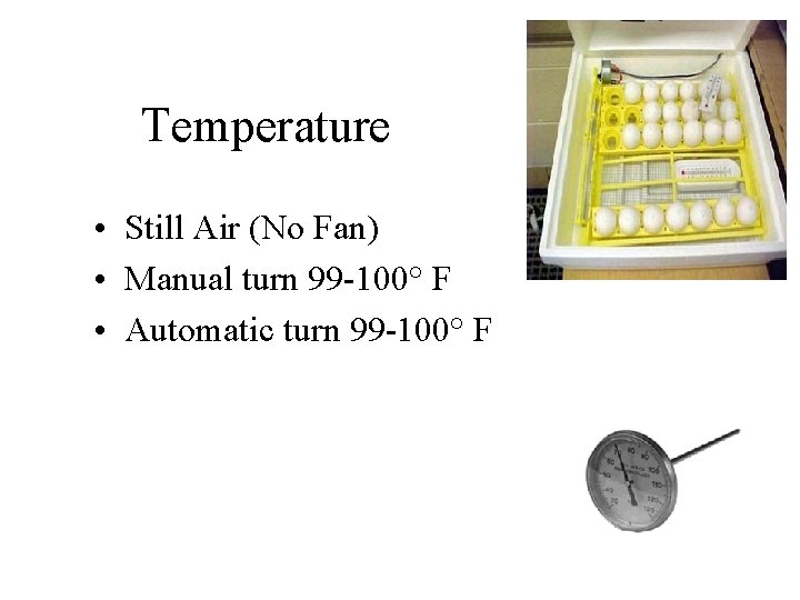Temperature • Still Air (No Fan) • Manual turn 99 -100° F • Automatic