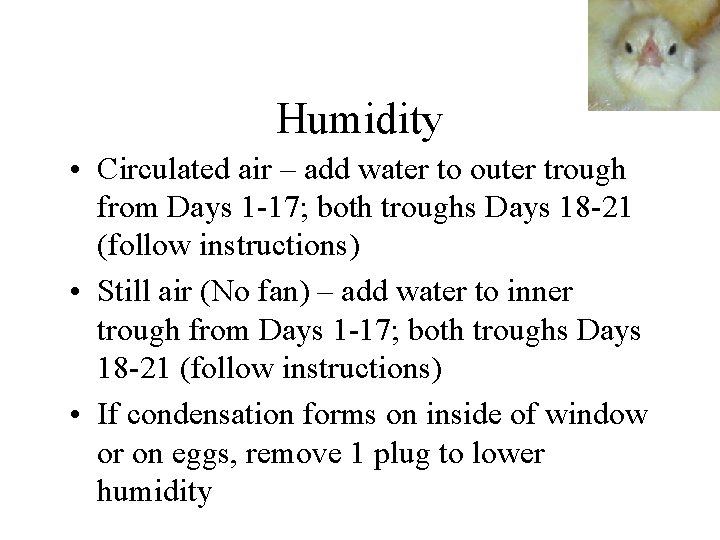 Humidity • Circulated air – add water to outer trough from Days 1 -17;