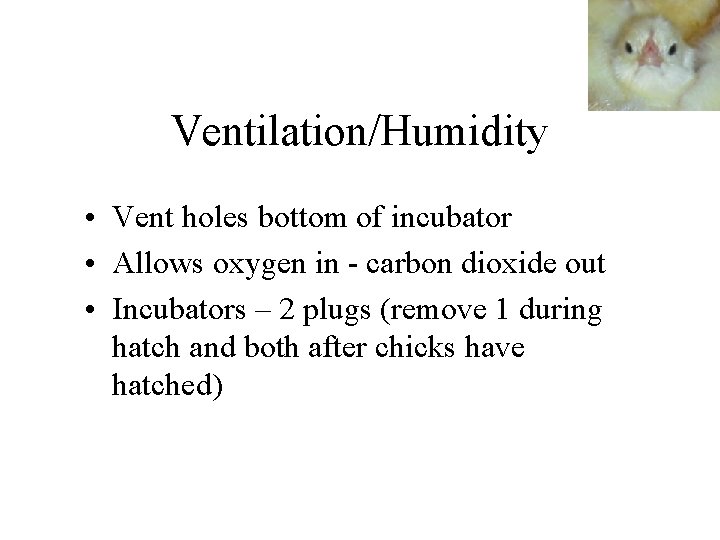 Ventilation/Humidity • Vent holes bottom of incubator • Allows oxygen in - carbon dioxide