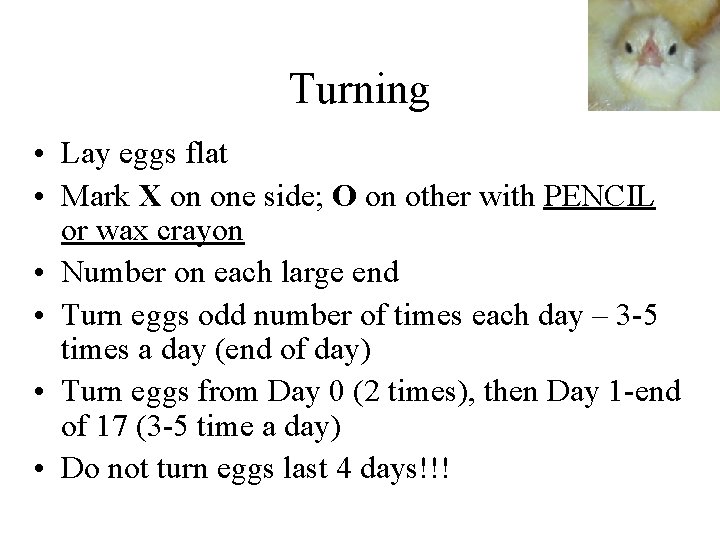 Turning • Lay eggs flat • Mark X on one side; O on other