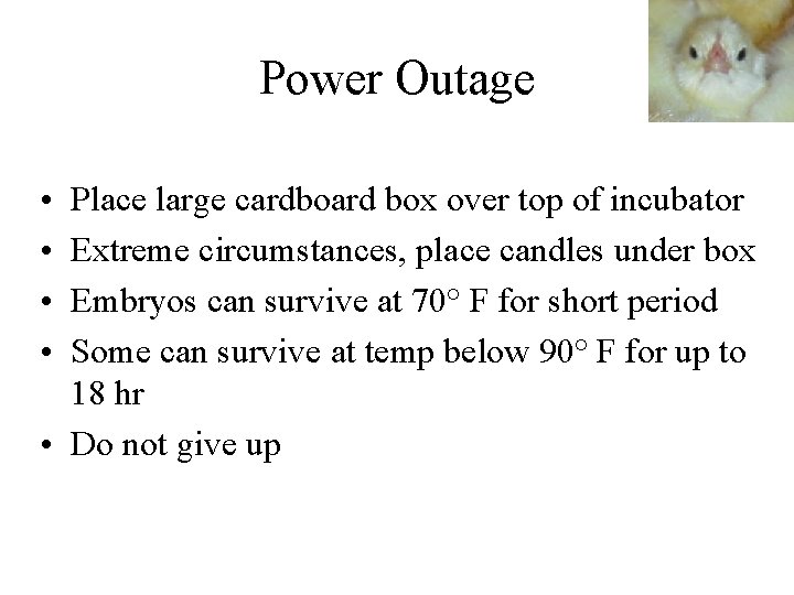 Power Outage • • Place large cardboard box over top of incubator Extreme circumstances,