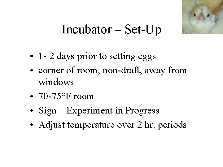 Incubator – Set-Up • 1 - 2 days prior to setting eggs • corner