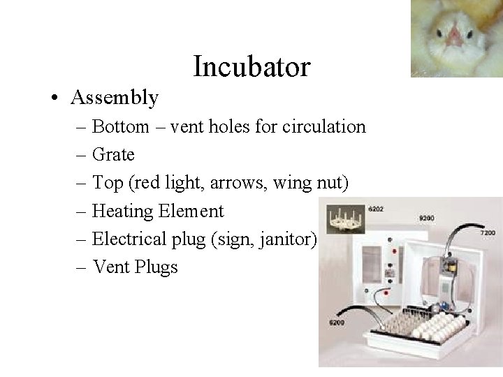 Incubator • Assembly – Bottom – vent holes for circulation – Grate – Top
