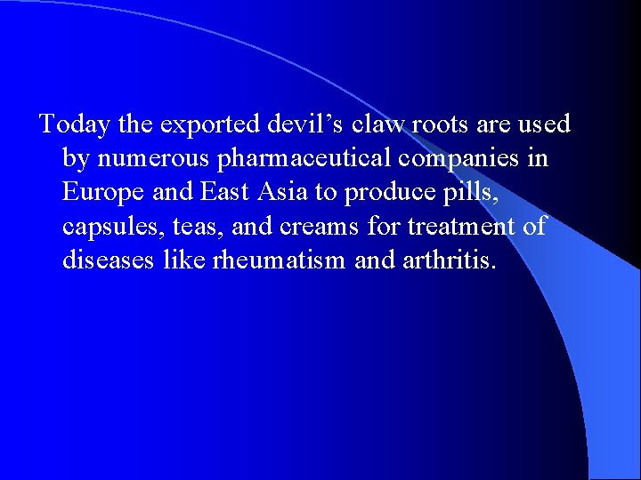 Today the exported devil’s claw roots are used by numerous pharmaceutical companies in Europe