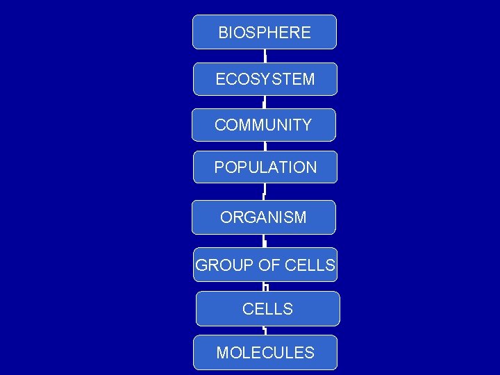 BIOSPHERE ECOSYSTEM COMMUNITY POPULATION ORGANISM GROUP OF CELLS MOLECULES 