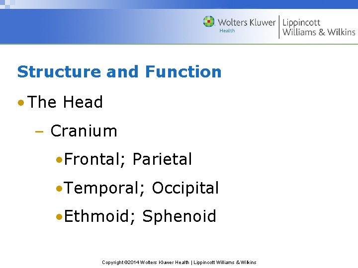 Structure and Function • The Head – Cranium • Frontal; Parietal • Temporal; Occipital Structure and Function • The Head – Cranium • Frontal; Parietal • Temporal; Occipital