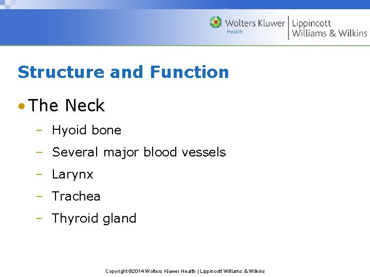 Structure and Function • The Neck – Hyoid bone – Several major blood vessels Structure and Function • The Neck – Hyoid bone – Several major blood vessels