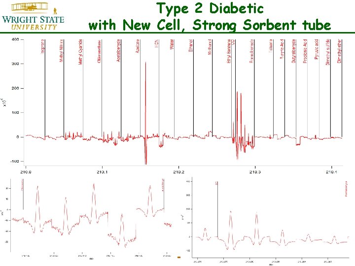 Type 2 Diabetic with New Cell, Strong Sorbent tube 