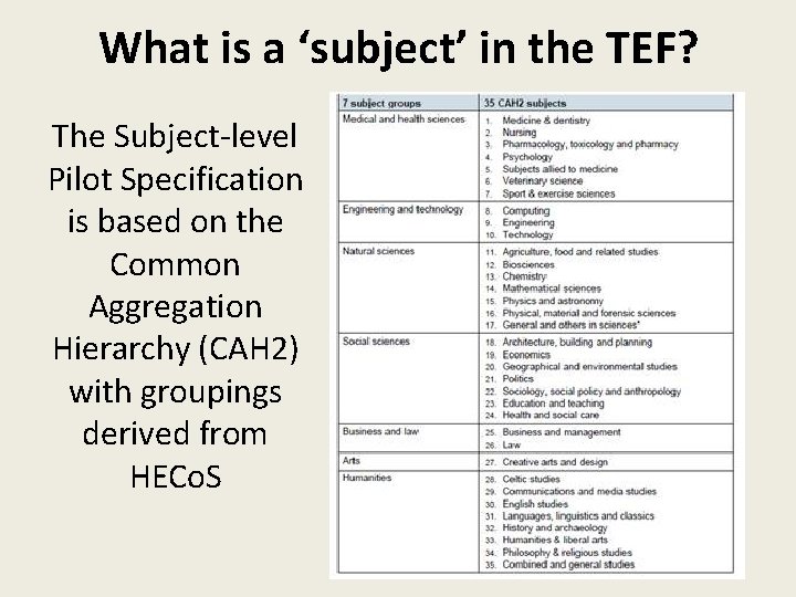 What is a ‘subject’ in the TEF? The Subject-level Pilot Specification is based on