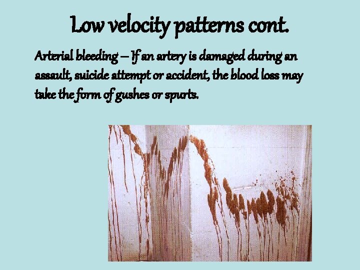 Low velocity patterns cont. Arterial bleeding – If an artery is damaged during an