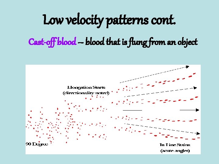 Low velocity patterns cont. Cast-off blood – blood that is flung from an object