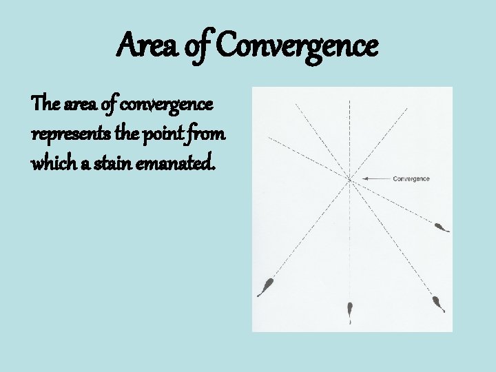 Area of Convergence The area of convergence represents the point from which a stain