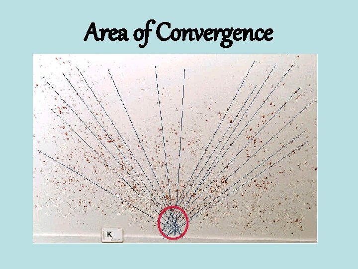 Area of Convergence 
